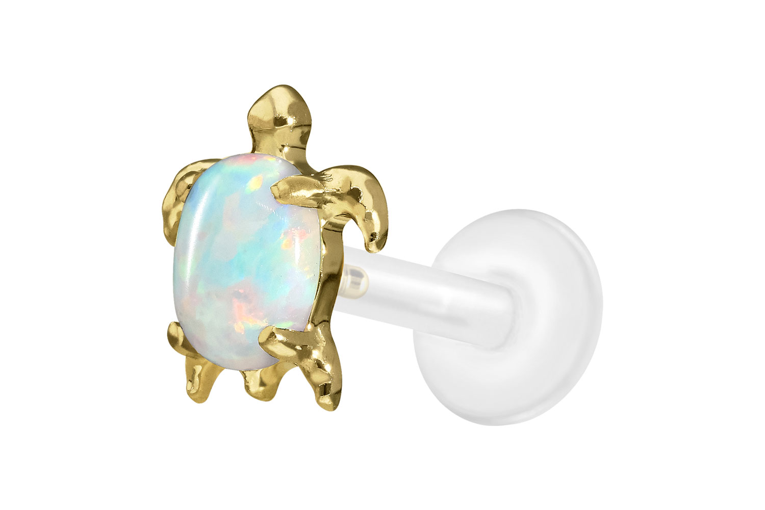 PTFE Labret Piercing mit Innengewinde + Titan-Aufsatz SCHILDKRÖTE